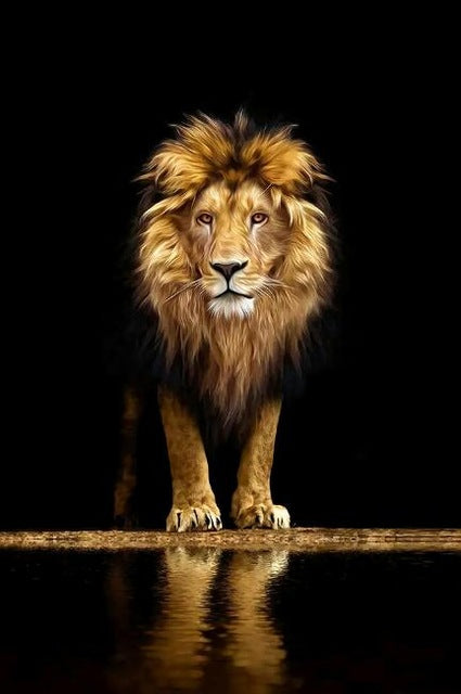 Lion In The Dark Art Poster And Print Animal Wall Art Decoration